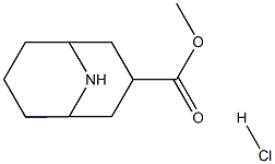 methyl exo-9-azabicyclo[3.3.1]nonane-3-carboxylate hydrochloride