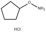 O-Cyclopentylhydroxylamine hydrochloride Structural