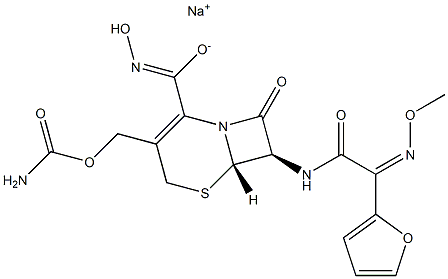 E-Ceftizoxime Sodium Salt