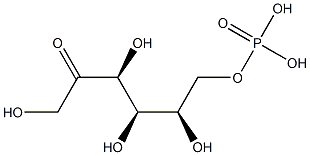 Fructose-6-Phosphate Assay Kit
		
	 Structural