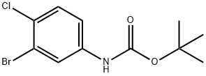 tert-butyl 3-bromo-4-chlorophenylcarbamate