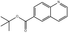 tert-butyl quinoline-6-carboxylate Structural