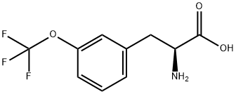 3-(Trifluoromethoxy)-L-phenylalanine