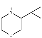 3-tert-Butyl-morpholine Structural