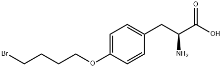 O-(4-Bromobutyl)-L-tyrosine HCl Structural