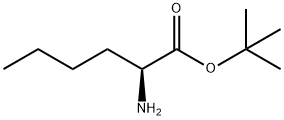 DL-Norleucine tert-butyl ester Structural