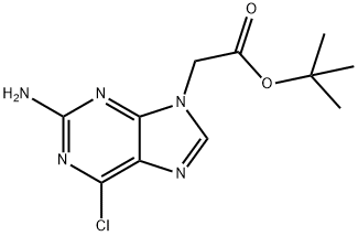 tert-butyl 2-(2-amino-6-chloro-9H-purin-9-yl)acetate Structural
