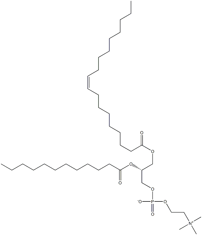 1-oleoyl-2-lauroyl -sn-glycero-3-phosphocholine Structural