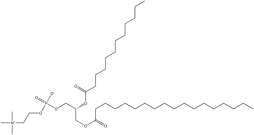 1-stearoyl-2-lauroyl -sn-glycero-3-phosphocholine Structural