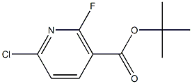 tert-Butyl 6-chloro-2-fluoronicotinate