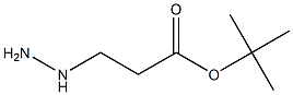 tert-butyl 3-hydrazinylpropanoate Structural