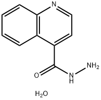 Quinoline-4-carbohydrazide Hydrate Structural