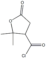 Valeric acid, 3-(chloroformyl)-4-hydroxy-4-methyl-, gamma-lactone (6CI) Structural