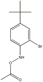 O-acetyl-N-(2-bromo-4-tert-butylphenyl)hydroxylamine Structural