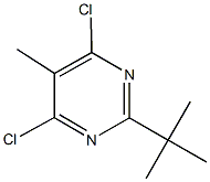 2-tert-butyl-4,6-dichloro-5-methylpyrimidine