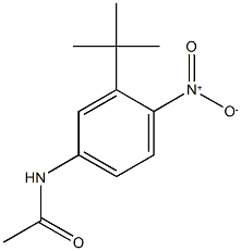 N-{3-tert-butyl-4-nitrophenyl}acetamide Structural