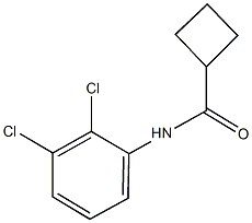 N-(2,3-dichlorophenyl)cyclobutanecarboxamide Structural