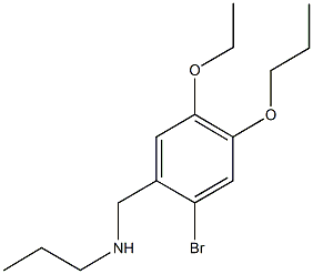 N-(2-bromo-5-ethoxy-4-propoxybenzyl)-N-propylamine Structural
