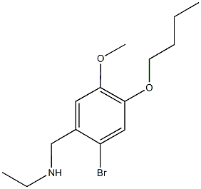 N-(2-bromo-4-butoxy-5-methoxybenzyl)-N-ethylamine Structural
