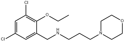 N-(3,5-dichloro-2-ethoxybenzyl)-N-[3-(4-morpholinyl)propyl]amine Structural