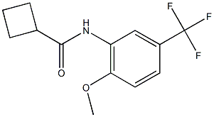 N-[2-methoxy-5-(trifluoromethyl)phenyl]cyclobutanecarboxamide Structural