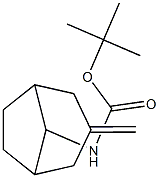 tert-butyl n-{3-methylidenebicyclo[3.2.1]octan-8-ylcarbamate