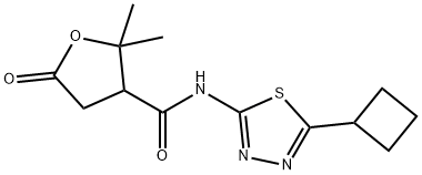 N-(5-cyclobutyl-1,3,4-thiadiazol-2-yl)-2,2-dimethyl-5-oxooxolane-3-carboxamide Structural