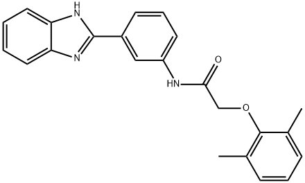 N-[3-(1H-benzimidazol-2-yl)phenyl]-2-(2,6-dimethylphenoxy)acetamide Structural