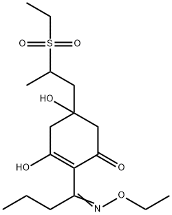 SETHOXYDIM 5-OH-M-SO2 Structural