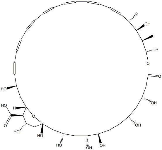 Amphoteronolide B