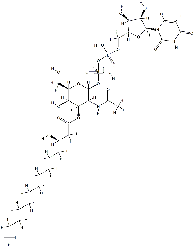 UDP-3-O-(3-hydroxymyristoyl)-N-acetylglucosamine Structural