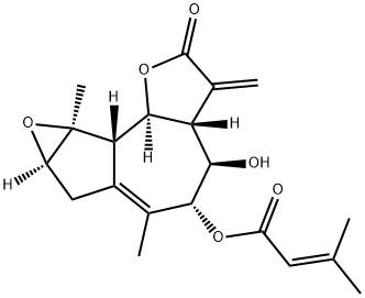 tomencephalin Structural
