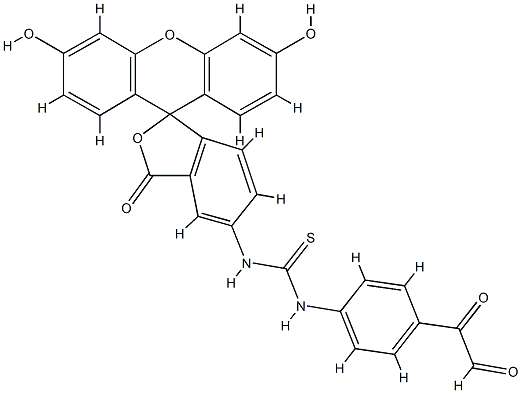 fluorescein isothiocyanate-phenylglyoxal Structural