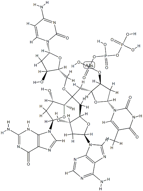 deoxy(thymidylic-adenylic-cytidylic-guanosine) Structural