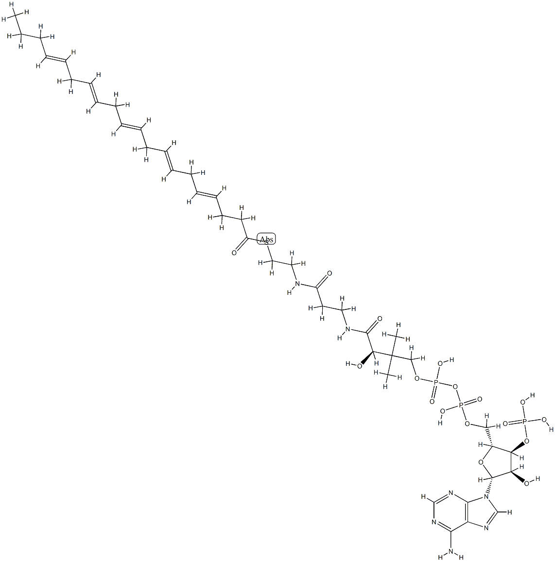 eicosapentaenoic acid-coenzyme A Structural