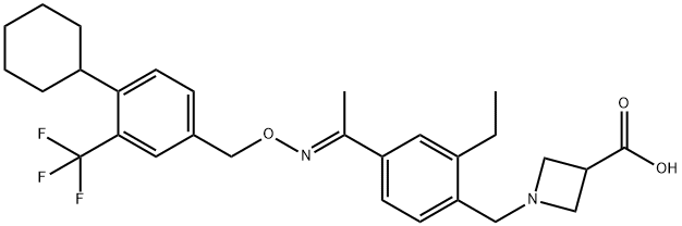 BAF-312(SiponiMod) Structural