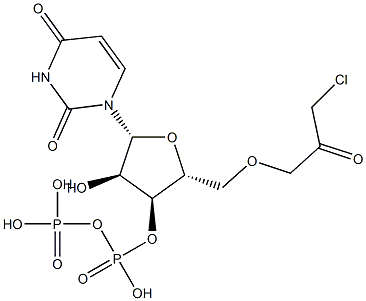 uridine 5'-diphosphate chloroacetol Structural