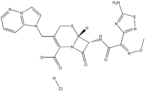 FIRSTCIN Structural