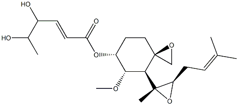 FR 111142 Structural