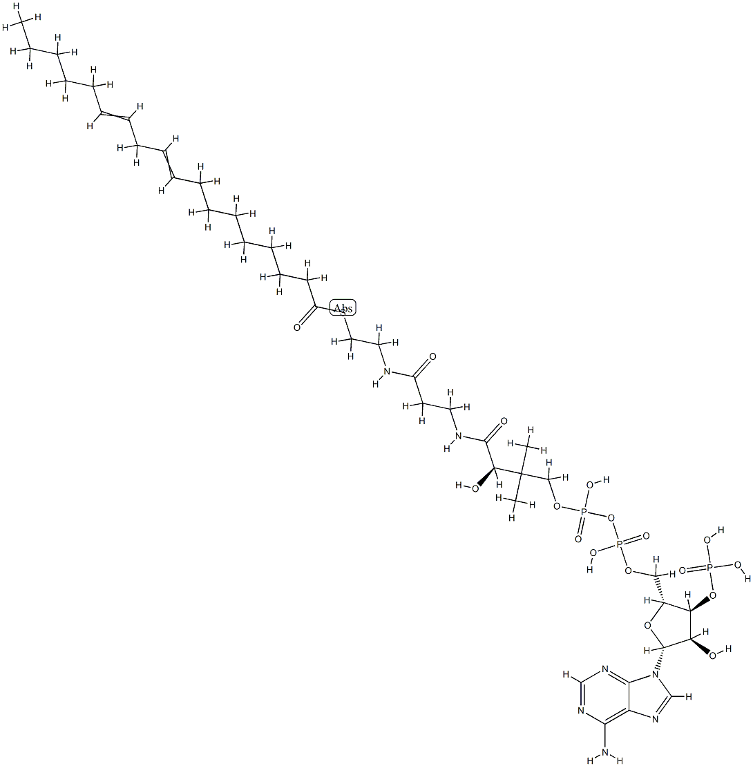 Linoleoyl coenzyme A Structural