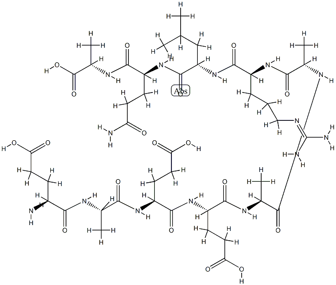 Leishmania peptide 183 Structural