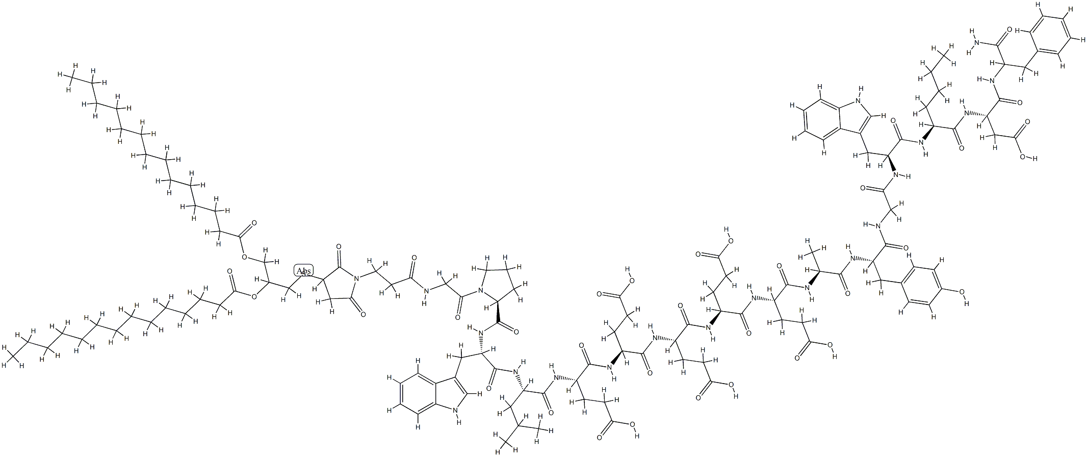 DM-gastrin Structural