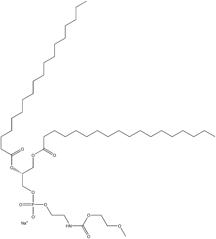 MPEG-2000-DSPE Structural