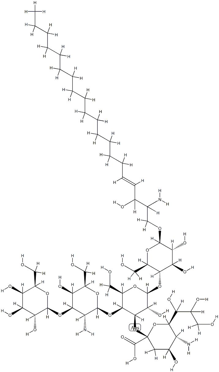 WILD 20 Structural