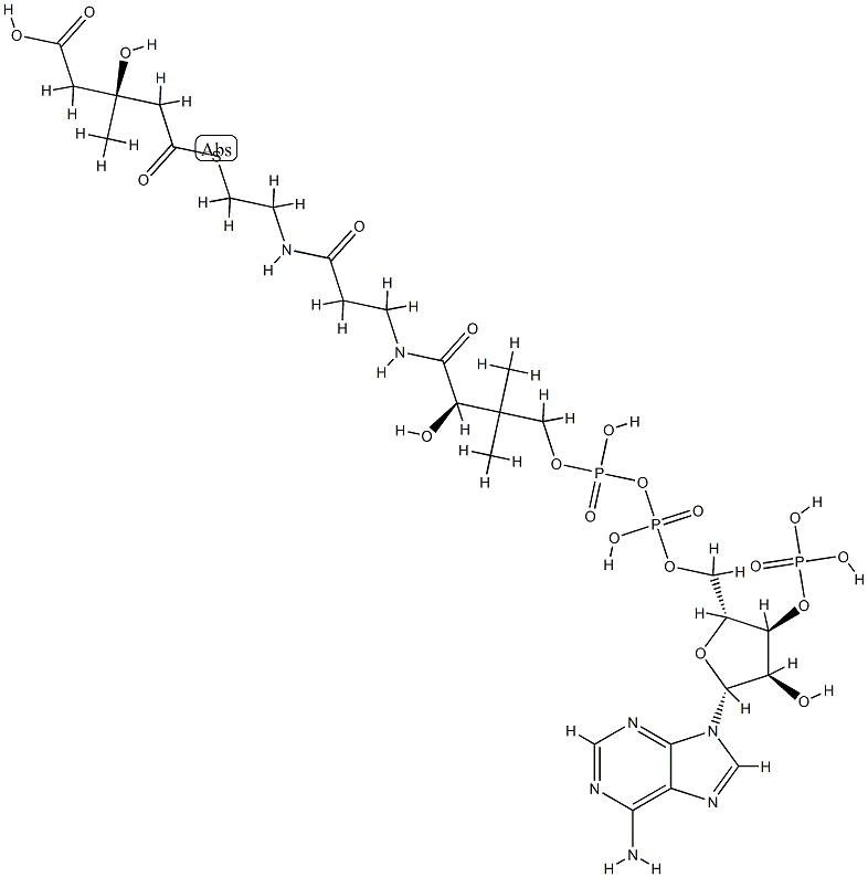S-(hydrogen 3-hydroxy-3-methylglutaryl)coenzyme A Structural