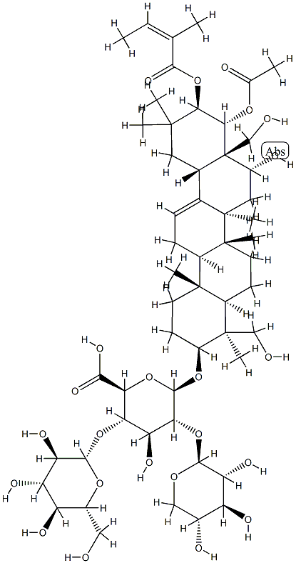 ESCIN IIB Structural