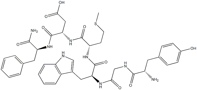 gastrin hexapeptide Structural