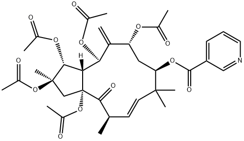 Jatrophane 1 Structural
