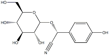 taxiphyllin Structural