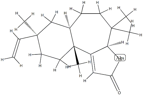 Fischeria A Structural